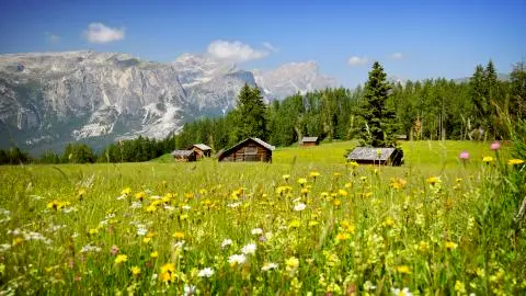 Titelbild für Willkommen in Südtirol…